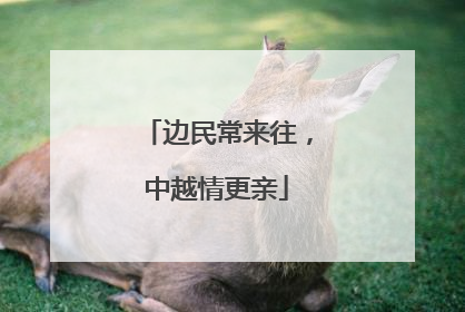 边民常来往，中越情更亲