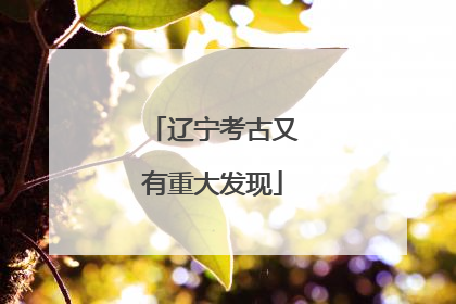 辽宁考古又有重大发现