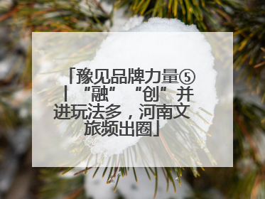 豫见品牌力量⑤丨“融”“创”并进玩法多，河南文旅频出圈