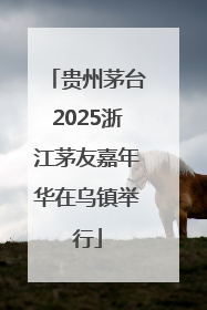 贵州茅台2025浙江茅友嘉年华在乌镇举行