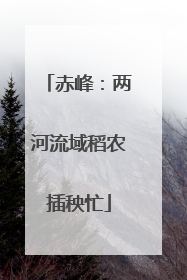 赤峰：两河流域稻农插秧忙