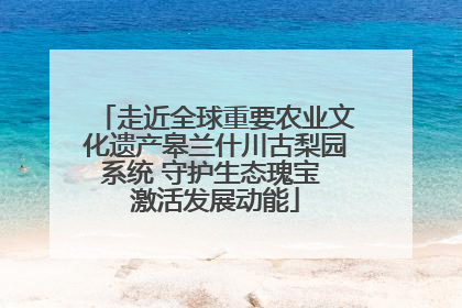 走近全球重要农业文化遗产皋兰什川古梨园系统 守护生态瑰宝 激活发展动能