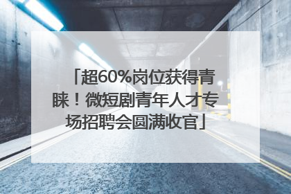 超60%岗位获得青睐！微短剧青年人才专场招聘会圆满收官