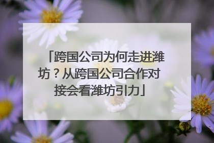跨国公司为何走进潍坊？从跨国公司合作对接会看潍坊引力