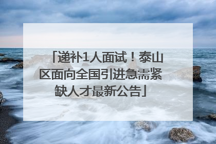 递补1人面试！泰山区面向全国引进急需紧缺人才最新公告
