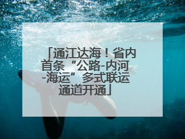 通江达海！省内首条“公路-内河-海运”多式联运通道开通