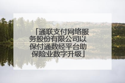 通联支付网络服务股份有限公司以保付通数经平台助保险业数字升级