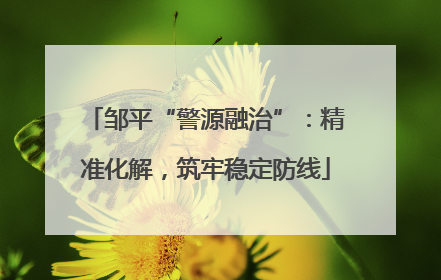 邹平“警源融治”：精准化解，筑牢稳定防线