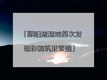 鄱阳湖湿地首次发现彩鹮筑巢繁殖