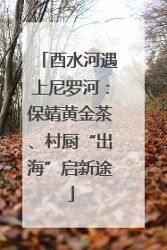 酉水河遇上尼罗河：保靖黄金茶、村厨“出海”启新途