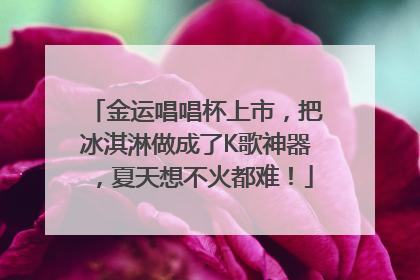 金运唱唱杯上市，把冰淇淋做成了K歌神器，夏天想不火都难！