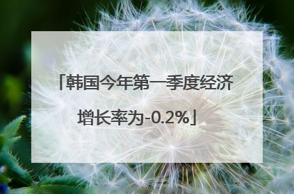 韩国今年第一季度经济增长率为-0.2%