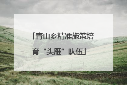 青山乡精准施策培育“头雁”队伍