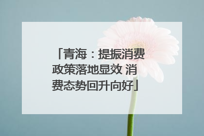 青海：提振消费政策落地显效 消费态势回升向好