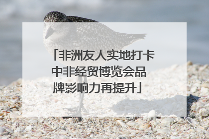 非洲友人实地打卡 中非经贸博览会品牌影响力再提升