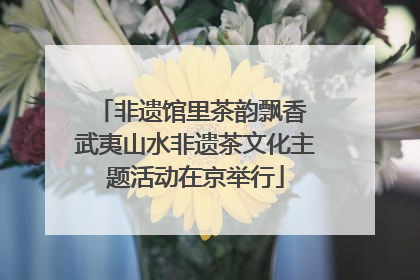 非遗馆里茶韵飘香 武夷山水非遗茶文化主题活动在京举行