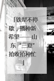 铁犁不停歇，播种新希望——山东“三夏”抢收抢种忙