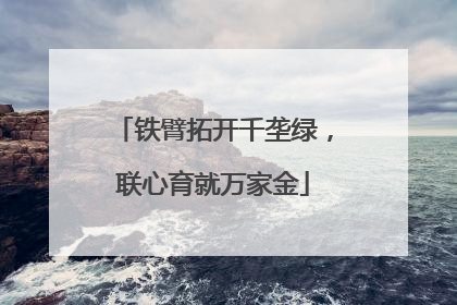 铁臂拓开千垄绿，联心育就万家金