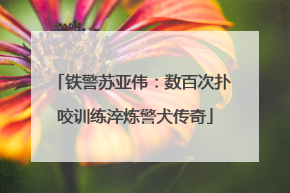 铁警苏亚伟：数百次扑咬训练淬炼警犬传奇