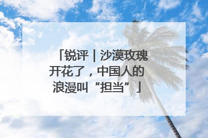 锐评｜沙漠玫瑰开花了，中国人的浪漫叫“担当”
