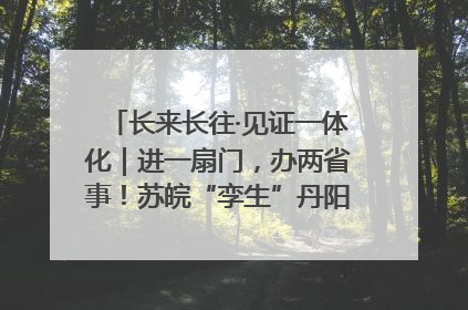 长来长往·见证一体化｜进一扇门，办两省事！苏皖“孪生”丹阳如何做到的？