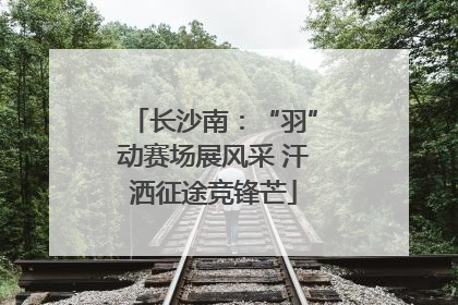 长沙南：“羽”动赛场展风采 汗洒征途竞锋芒