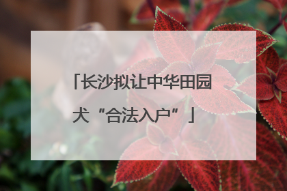 长沙拟让中华田园犬“合法入户”