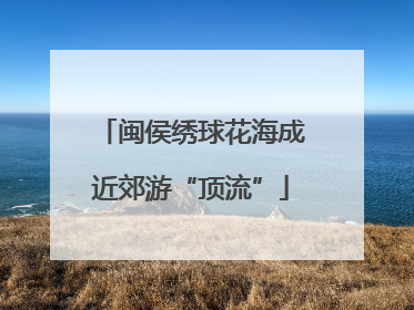 闽侯绣球花海成近郊游“顶流”