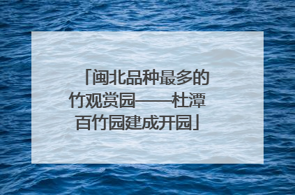 闽北品种最多的竹观赏园——杜潭百竹园建成开园