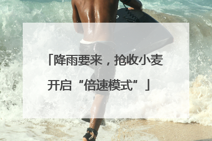 降雨要来，抢收小麦开启“倍速模式”