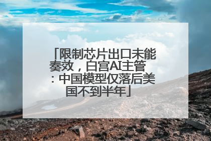 限制芯片出口未能奏效，白宫AI主管：中国模型仅落后美国不到半年