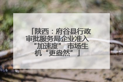 陕西：府谷县行政审批服务局企业准入“加速度” 市场生机“更盎然”