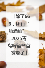 除了666，还有“酒酒酒”！2025青岛啤酒节首发燃了