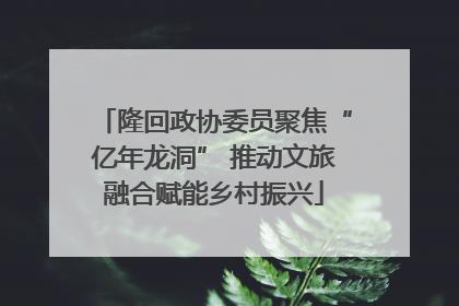 隆回政协委员聚焦“亿年龙洞” 推动文旅融合赋能乡村振兴