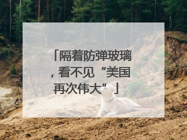 隔着防弹玻璃，看不见“美国再次伟大”