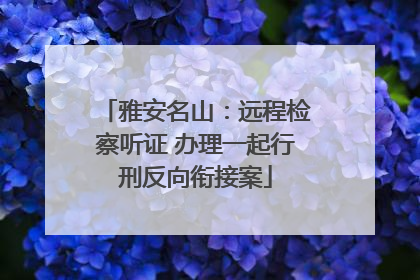 雅安名山：远程检察听证 办理一起行刑反向衔接案