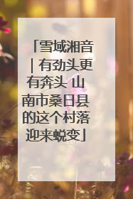 雪域湘音｜有劲头更有奔头 山南市桑日县的这个村落迎来蜕变