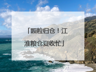 颗粒归仓！江淮粮仓夏收忙
