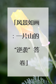 风景如画：一片山的“逆袭”答卷