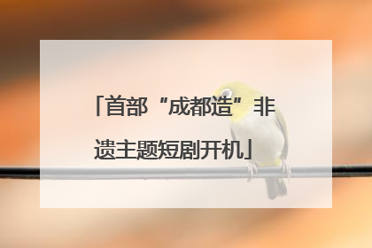 首部“成都造”非遗主题短剧开机