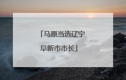 马原当选辽宁阜新市市长