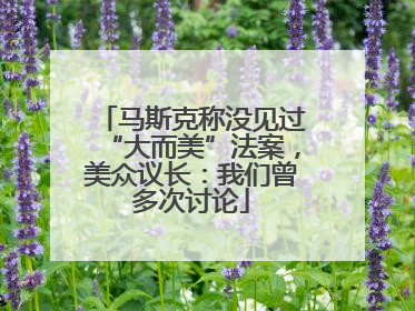马斯克称没见过“大而美”法案，美众议长：我们曾多次讨论