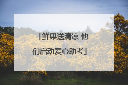 鲜果送清凉 他们启动爱心助考