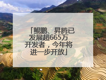 鲲鹏、昇腾已发展超665万开发者，今年将进一步开放