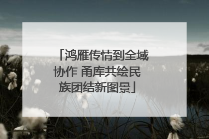 鸿雁传情到全域协作 甬库共绘民族团结新图景