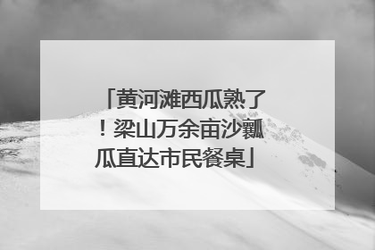 黄河滩西瓜熟了！梁山万余亩沙瓤瓜直达市民餐桌