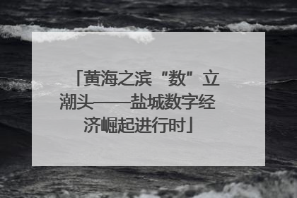 黄海之滨“数”立潮头——盐城数字经济崛起进行时