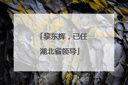 黎东辉，已任湖北省领导
