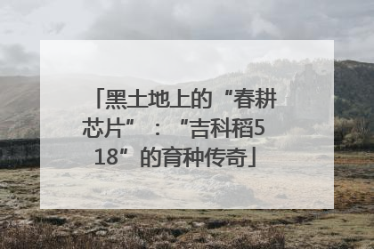 黑土地上的“春耕芯片”：“吉科稻518”的育种传奇