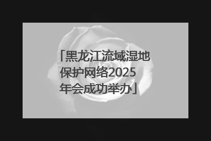 黑龙江流域湿地保护网络2025年会成功举办